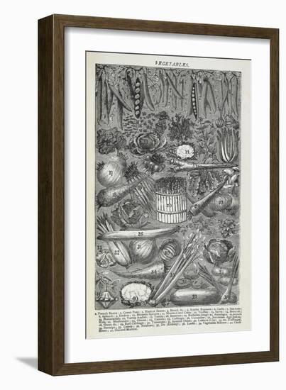 Vegetables-Isabella Beeton-Framed Giclee Print