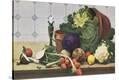 Stretched Canvas Print