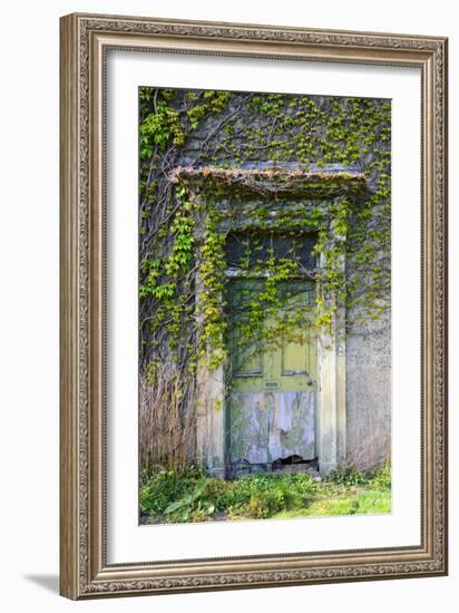 Vegetation and Ivy Growing over Empty Hall Near Leeds Yorkshire Uk-Paul Ridsdale-Framed Photographic Print