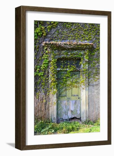 Vegetation and Ivy Growing over Empty Hall Near Leeds Yorkshire Uk-Paul Ridsdale-Framed Photographic Print