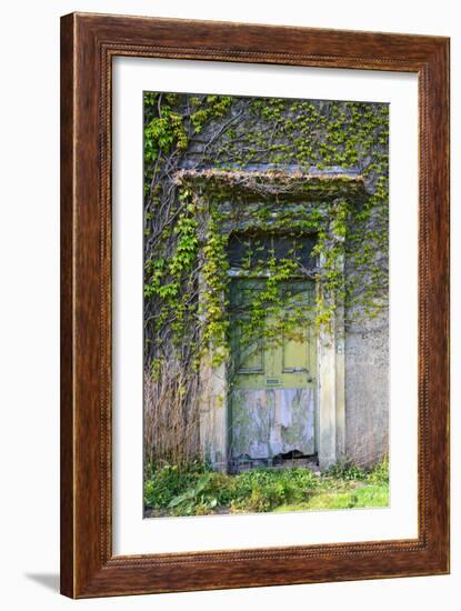 Vegetation and Ivy Growing over Empty Hall Near Leeds Yorkshire Uk-Paul Ridsdale-Framed Photographic Print