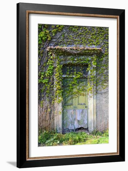 Vegetation and Ivy Growing over Empty Hall Near Leeds Yorkshire Uk-Paul Ridsdale-Framed Photographic Print