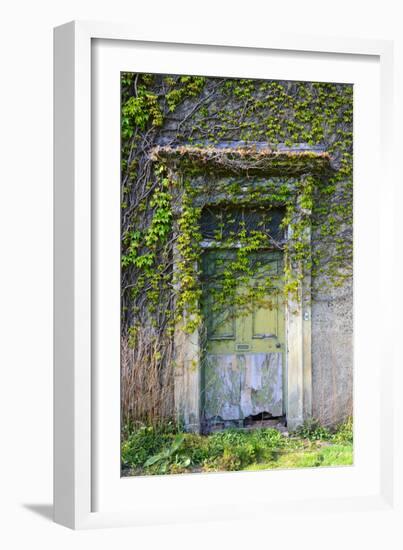 Vegetation and Ivy Growing over Empty Hall Near Leeds Yorkshire Uk-Paul Ridsdale-Framed Photographic Print