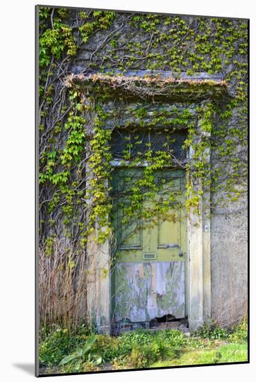 Vegetation and Ivy Growing over Empty Hall Near Leeds Yorkshire Uk-Paul Ridsdale-Mounted Photographic Print