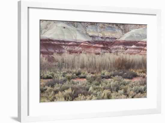 Vegetation in the Fremont River Valley, Capitol Reef National Park, Utah, Usa-Rainer Mirau-Framed Photographic Print