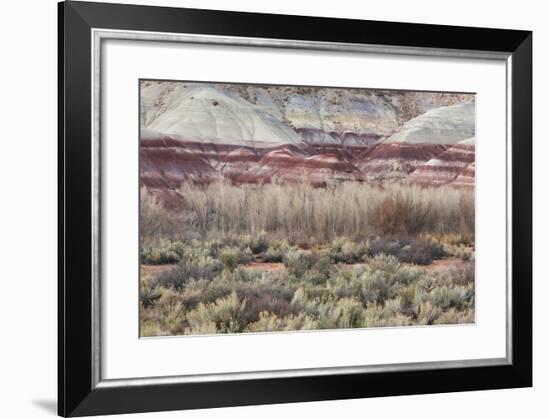 Vegetation in the Fremont River Valley, Capitol Reef National Park, Utah, Usa-Rainer Mirau-Framed Photographic Print