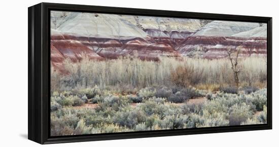 Vegetation in the Fremont River Valley, Capitol Reef National Park, Utah, Usa-Rainer Mirau-Framed Premier Image Canvas