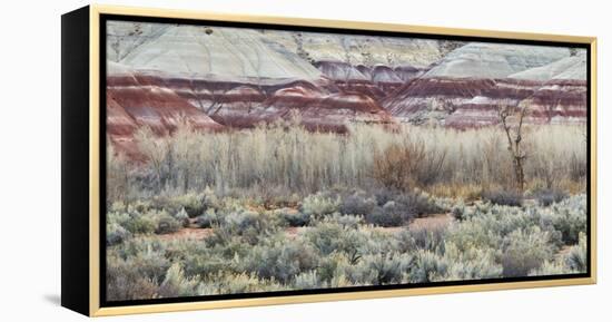 Vegetation in the Fremont River Valley, Capitol Reef National Park, Utah, Usa-Rainer Mirau-Framed Premier Image Canvas