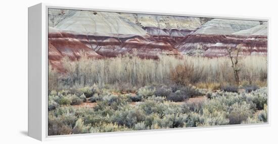 Vegetation in the Fremont River Valley, Capitol Reef National Park, Utah, Usa-Rainer Mirau-Framed Premier Image Canvas