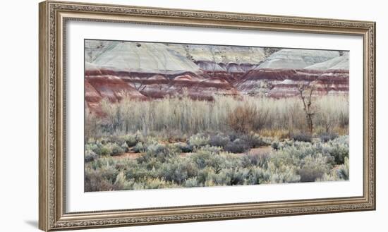 Vegetation in the Fremont River Valley, Capitol Reef National Park, Utah, Usa-Rainer Mirau-Framed Photographic Print