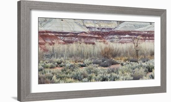 Vegetation in the Fremont River Valley, Capitol Reef National Park, Utah, Usa-Rainer Mirau-Framed Photographic Print