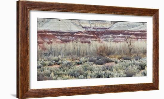 Vegetation in the Fremont River Valley, Capitol Reef National Park, Utah, Usa-Rainer Mirau-Framed Photographic Print