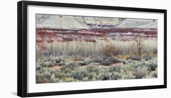 Vegetation in the Fremont River Valley, Capitol Reef National Park, Utah, Usa-Rainer Mirau-Framed Photographic Print