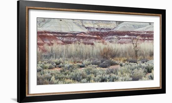 Vegetation in the Fremont River Valley, Capitol Reef National Park, Utah, Usa-Rainer Mirau-Framed Photographic Print