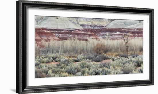 Vegetation in the Fremont River Valley, Capitol Reef National Park, Utah, Usa-Rainer Mirau-Framed Photographic Print