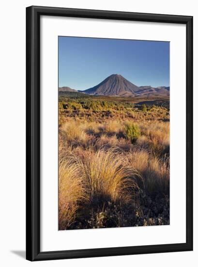 Vegetation, Mount Ngauruhoe, Tongariro National Park, Manawatu-Manganui, North Island, New Zealand-Rainer Mirau-Framed Photographic Print