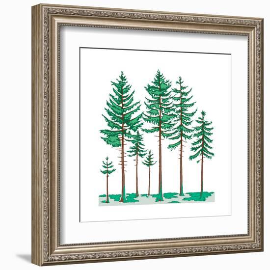 Vegetation Profile of a Boreal Forest. Biosphere, Earth Sciences-Encyclopaedia Britannica-Framed Art Print