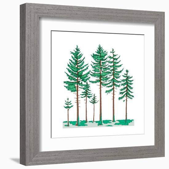 Vegetation Profile of a Boreal Forest. Biosphere, Earth Sciences-Encyclopaedia Britannica-Framed Art Print