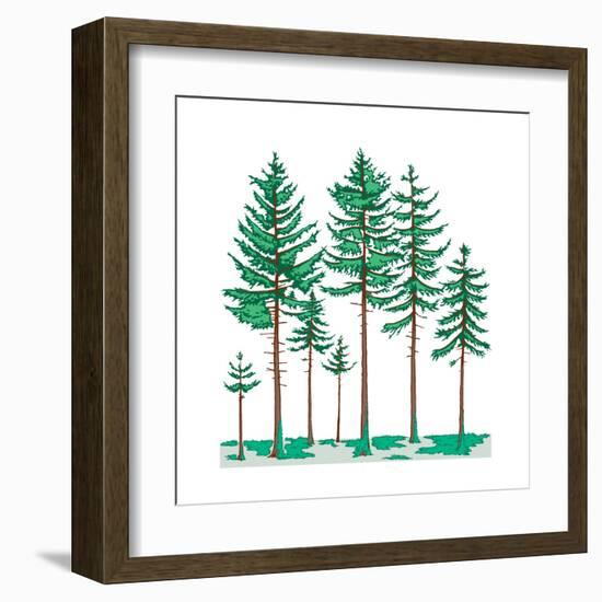 Vegetation Profile of a Boreal Forest. Biosphere, Earth Sciences-Encyclopaedia Britannica-Framed Art Print