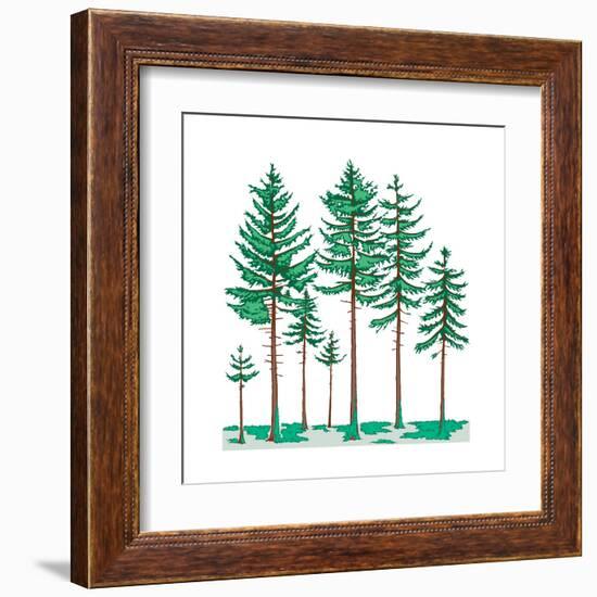 Vegetation Profile of a Boreal Forest. Biosphere, Earth Sciences-Encyclopaedia Britannica-Framed Art Print