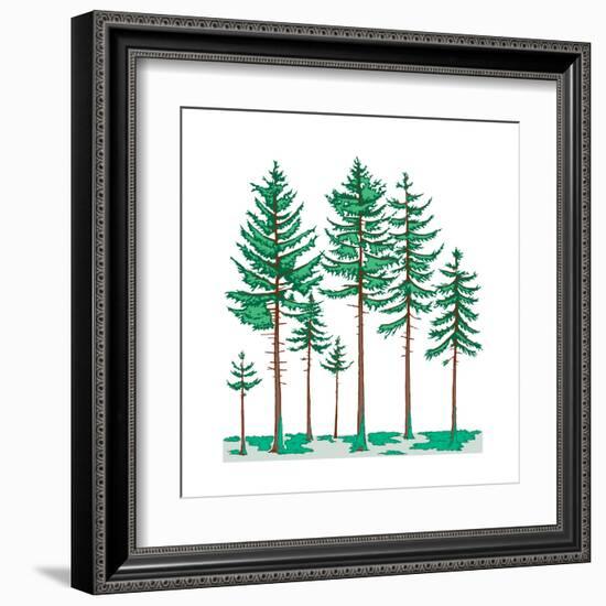 Vegetation Profile of a Boreal Forest. Biosphere, Earth Sciences-Encyclopaedia Britannica-Framed Art Print