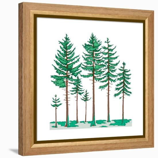 Vegetation Profile of a Boreal Forest. Biosphere, Earth Sciences-Encyclopaedia Britannica-Framed Stretched Canvas