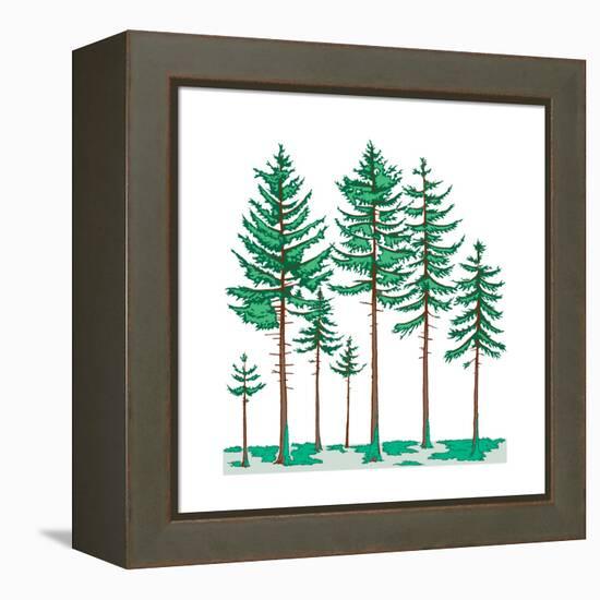 Vegetation Profile of a Boreal Forest. Biosphere, Earth Sciences-Encyclopaedia Britannica-Framed Stretched Canvas