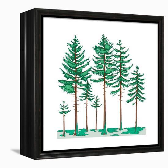 Vegetation Profile of a Boreal Forest. Biosphere, Earth Sciences-Encyclopaedia Britannica-Framed Stretched Canvas