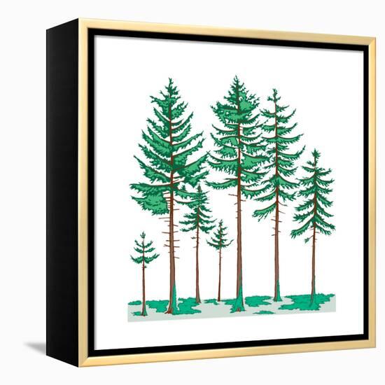 Vegetation Profile of a Boreal Forest. Biosphere, Earth Sciences-Encyclopaedia Britannica-Framed Stretched Canvas