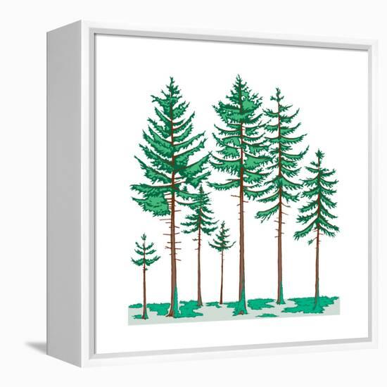 Vegetation Profile of a Boreal Forest. Biosphere, Earth Sciences-Encyclopaedia Britannica-Framed Stretched Canvas