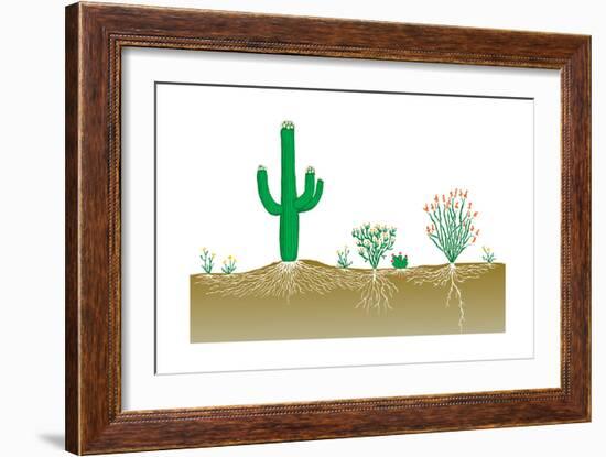 Vegetation Profile of a Desert. Biosphere, Earth Sciences-Encyclopaedia Britannica-Framed Art Print