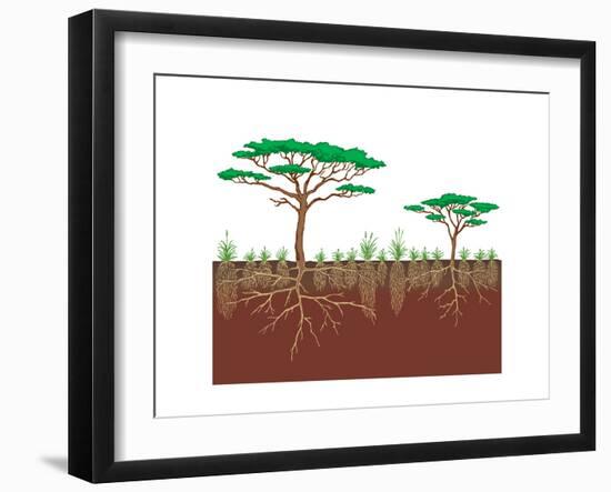 Vegetation Profile of a Savanna. Biosphere, Earth Sciences-Encyclopaedia Britannica-Framed Art Print