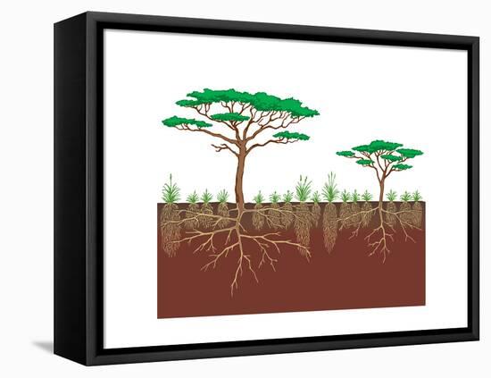 Vegetation Profile of a Savanna. Biosphere, Earth Sciences-Encyclopaedia Britannica-Framed Stretched Canvas