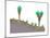 Vegetation Profile of Tropical Mountain Lands. Biosphere, Earth Sciences-Encyclopaedia Britannica-Mounted Art Print