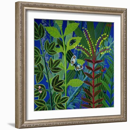 Vegetation-Tamas Galambos-Framed Giclee Print