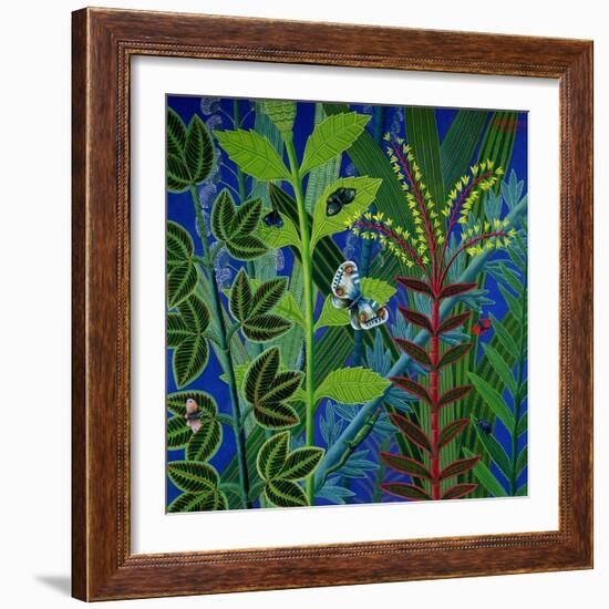 Vegetation-Tamas Galambos-Framed Giclee Print