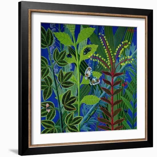 Vegetation-Tamas Galambos-Framed Giclee Print