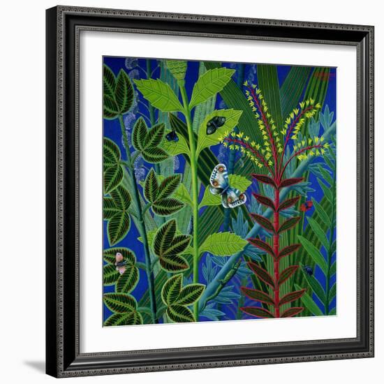 Vegetation-Tamas Galambos-Framed Giclee Print