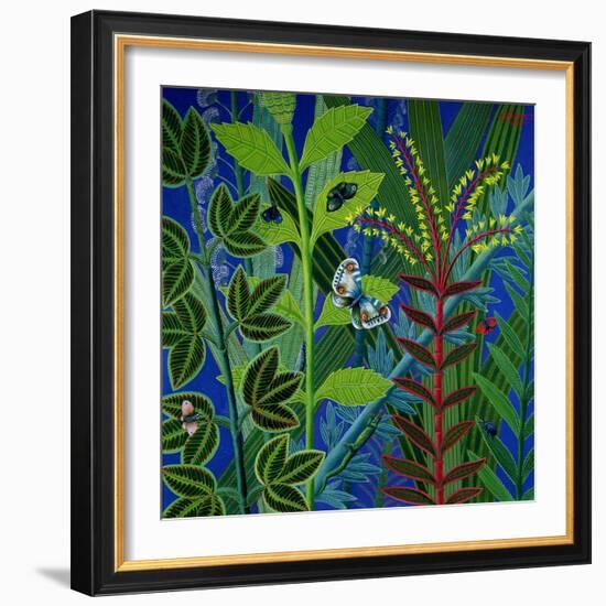 Vegetation-Tamas Galambos-Framed Giclee Print