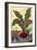 Veggie Garden II-Mehmet Altug-Framed Art Print