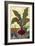 Veggie Garden II-Mehmet Altug-Framed Art Print