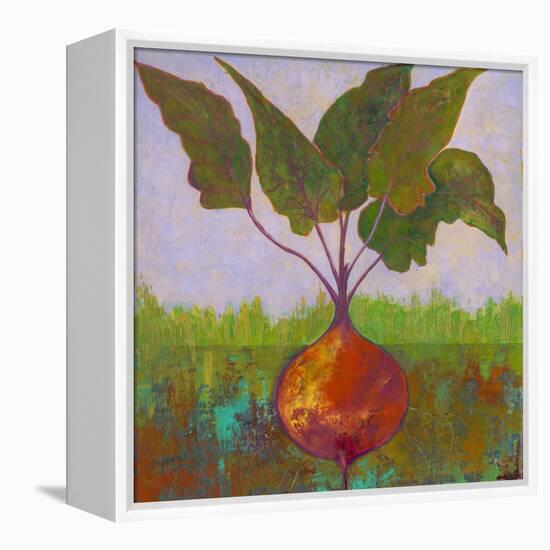 Veggie Garden IV-Mehmet Altug-Framed Stretched Canvas