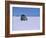 Vehicle Drives across the Crusted Salt of the Salar De Uyuni, the Largest Salt Flat in the World-John Warburton-lee-Framed Photographic Print