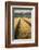 Vehicle tracks in field of ripe Barley, farmland, Devon, UK-Ross Hoddinott-Framed Photographic Print