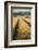 Vehicle tracks in field of ripe Barley, farmland, Devon, UK-Ross Hoddinott-Framed Photographic Print