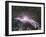 Veil Nebula Supernova Remnant-Davide De Martin-Framed Photographic Print