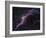 Veil Nebula-Stocktrek Images-Framed Photographic Print