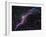 Veil Nebula-Stocktrek Images-Framed Photographic Print