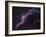 Veil Nebula-Stocktrek Images-Framed Photographic Print