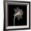 Veiled Blossom (Sepia)-null-Framed Premium Giclee Print